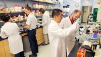 Dr. Kuo and scientists working in the lab